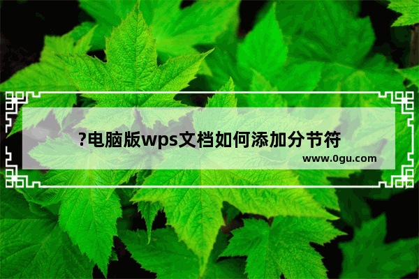 ?电脑版wps文档如何添加分节符