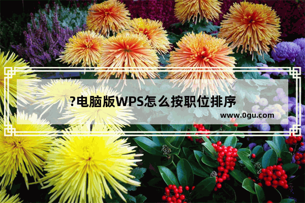 ?电脑版WPS怎么按职位排序