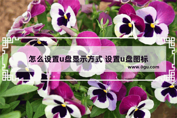 怎么设置u盘显示方式 设置u盘图标