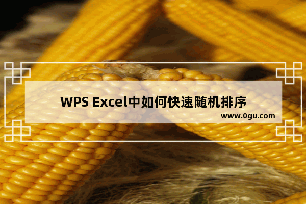 WPS Excel中如何快速随机排序