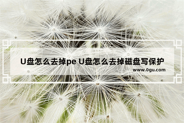 U盘怎么去掉pe U盘怎么去掉磁盘写保护