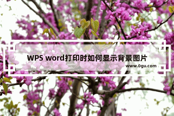 WPS word打印时如何显示背景图片