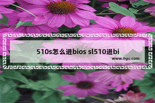 510s怎么进bios sl510进bios