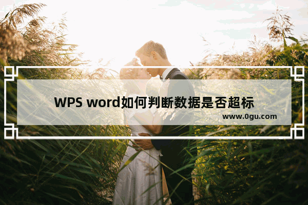 WPS word如何判断数据是否超标