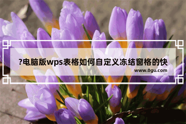 ?电脑版wps表格如何自定义冻结窗格的快捷键