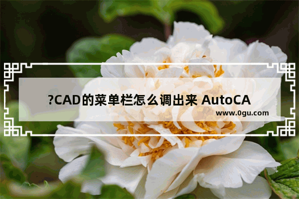 ?CAD的菜单栏怎么调出来 AutoCAD调出上方菜单栏的方法教程