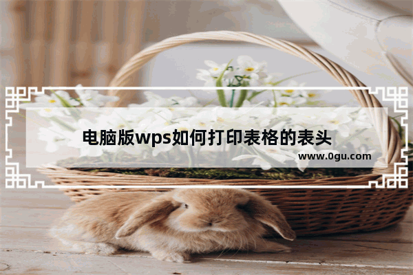 电脑版wps如何打印表格的表头