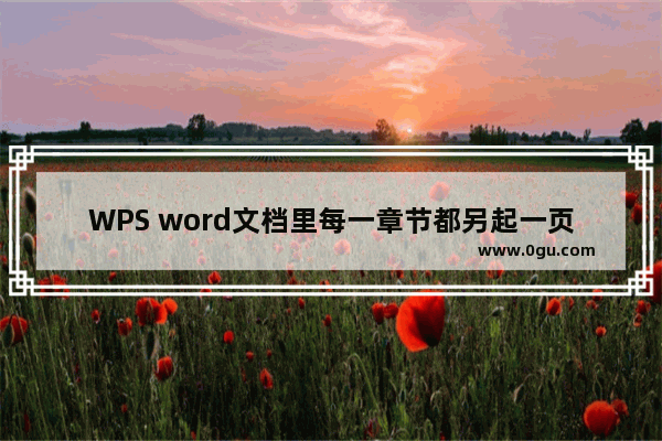 WPS word文档里每一章节都另起一页的方法