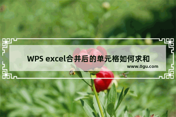 WPS excel合并后的单元格如何求和与统计