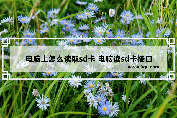 电脑上怎么读取sd卡 电脑读sd卡接口