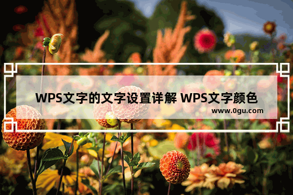 WPS文字的文字设置详解 WPS文字颜色的设置技巧