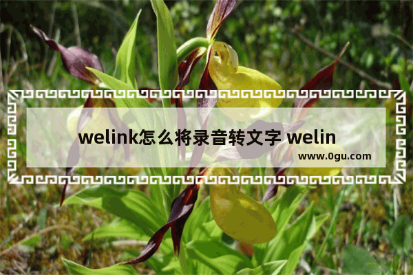 welink怎么将录音转文字 welink录音转文字的方法