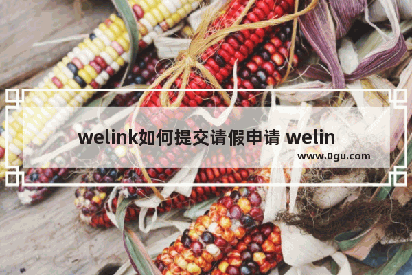 welink如何提交请假申请 welink提交请假申请的方法