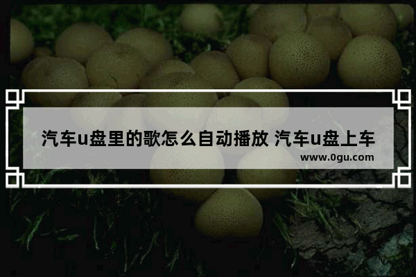 汽车u盘里的歌怎么自动播放 汽车u盘上车怎么自动播放