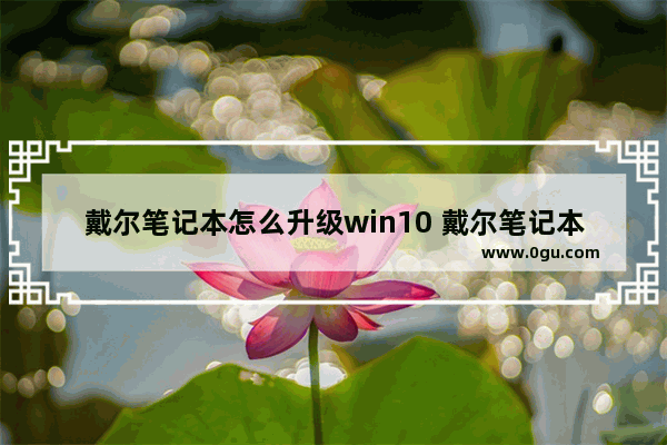 戴尔笔记本怎么升级win10 戴尔笔记本怎么升级网卡