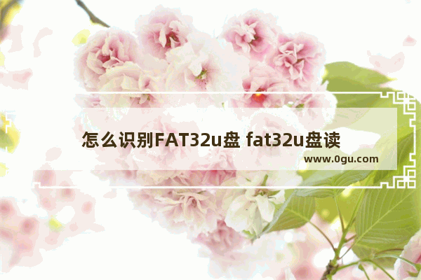 怎么识别FAT32u盘 fat32u盘读取