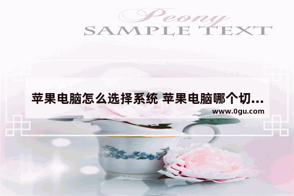 苹果电脑怎么选择系统 苹果电脑哪个切换系统
