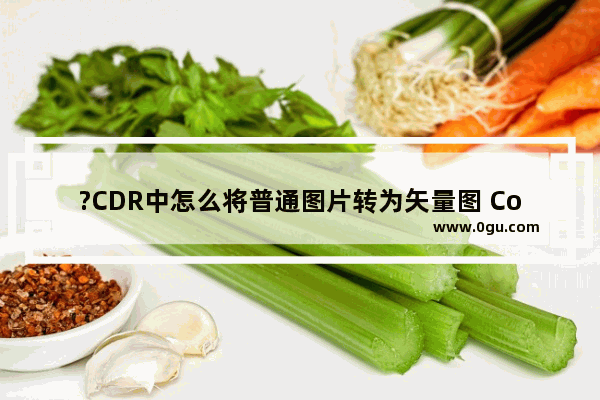 ?CDR中怎么将普通图片转为矢量图 CorelDRAW把图片转换为矢量图的方法教程