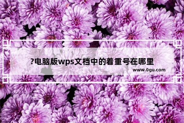 ?电脑版wps文档中的着重号在哪里