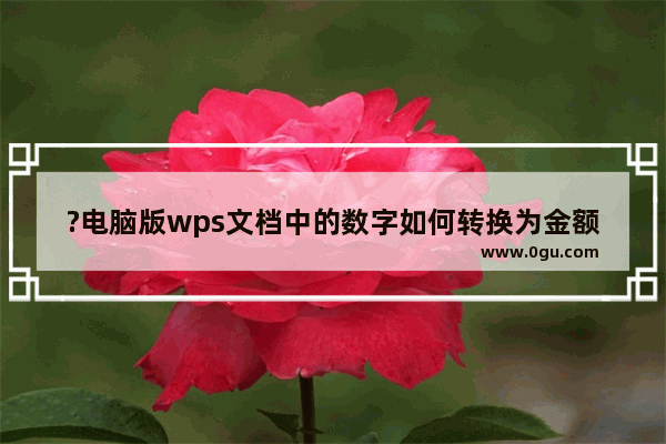 ?电脑版wps文档中的数字如何转换为金额数字