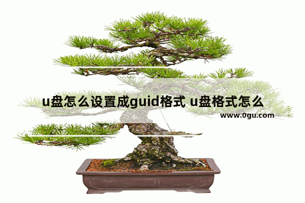 u盘怎么设置成guid格式 u盘格式怎么弄