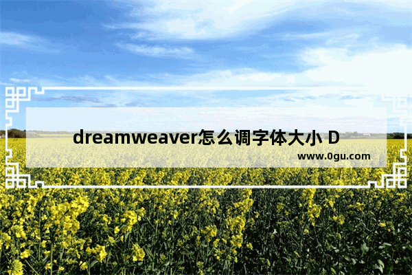 dreamweaver怎么调字体大小 Dw软件设置字体大小的方法