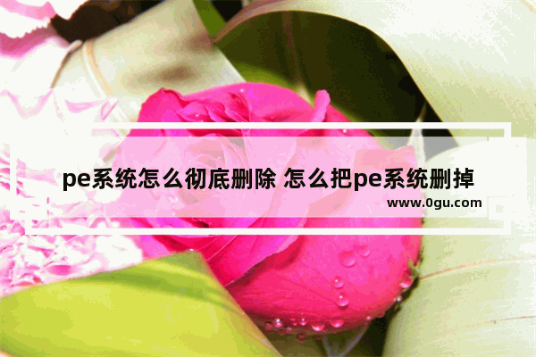 pe系统怎么彻底删除 怎么把pe系统删掉