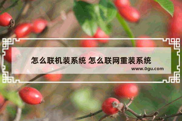 怎么联机装系统 怎么联网重装系统