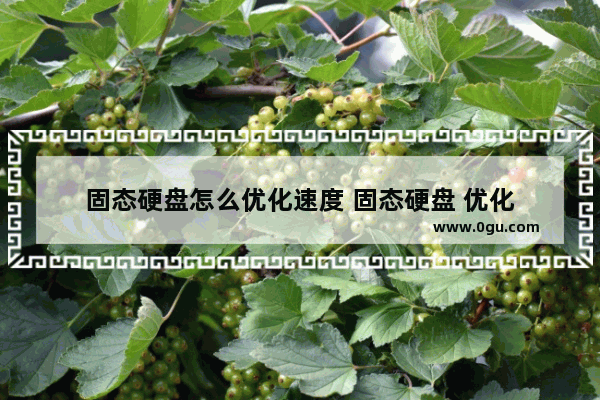 固态硬盘怎么优化速度 固态硬盘 优化