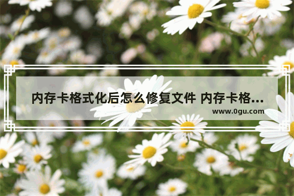 内存卡格式化后怎么修复文件 内存卡格式化后还能找回吗