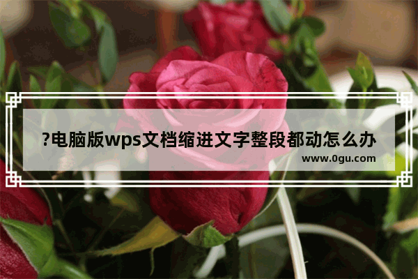 ?电脑版wps文档缩进文字整段都动怎么办