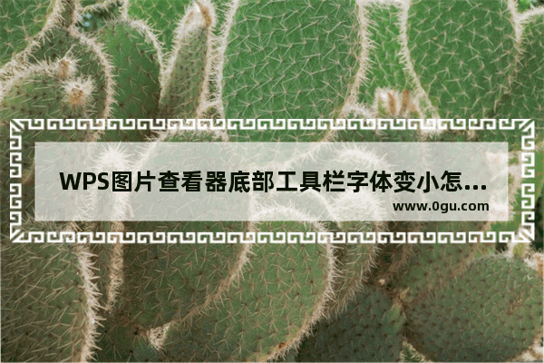 WPS图片查看器底部工具栏字体变小怎么办