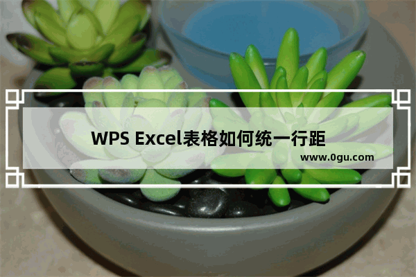 WPS Excel表格如何统一行距