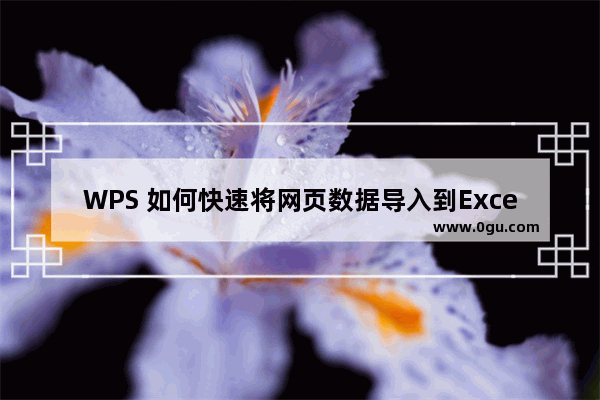 WPS 如何快速将网页数据导入到Excel 中
