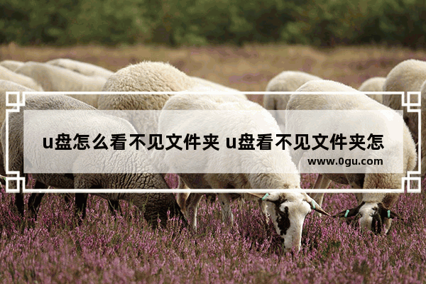u盘怎么看不见文件夹 u盘看不见文件夹怎么回事