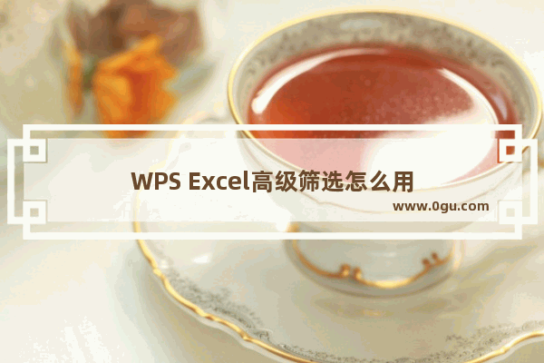 WPS Excel高级筛选怎么用