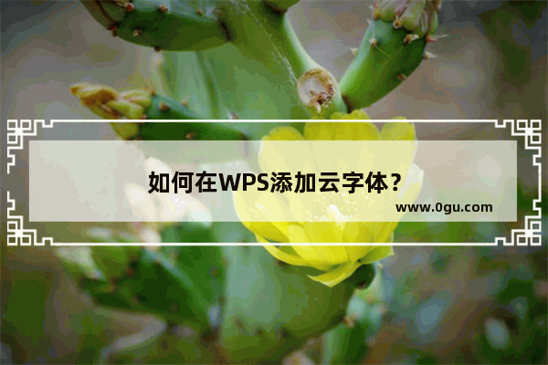 如何在WPS添加云字体？