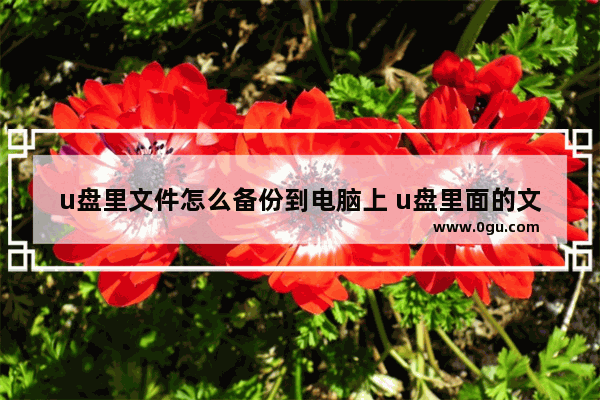 u盘里文件怎么备份到电脑上 u盘里面的文件怎么备份