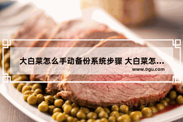 大白菜怎么手动备份系统步骤 大白菜怎么备份重要文件