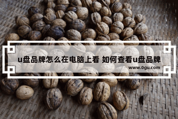 u盘品牌怎么在电脑上看 如何查看u盘品牌型号