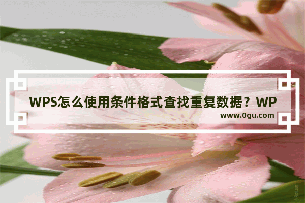 WPS怎么使用条件格式查找重复数据？WPS使用条件格式查找重复数据的方法