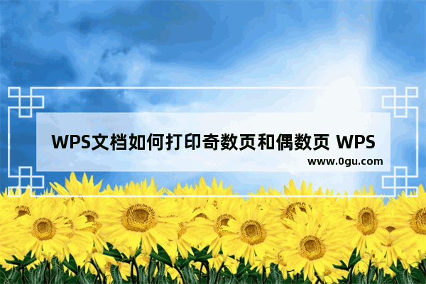 WPS文档如何打印奇数页和偶数页 WPS Word设置打印奇数页和偶数页的方法