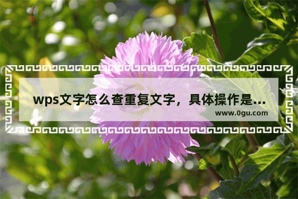 wps文字怎么查重复文字，具体操作是什么