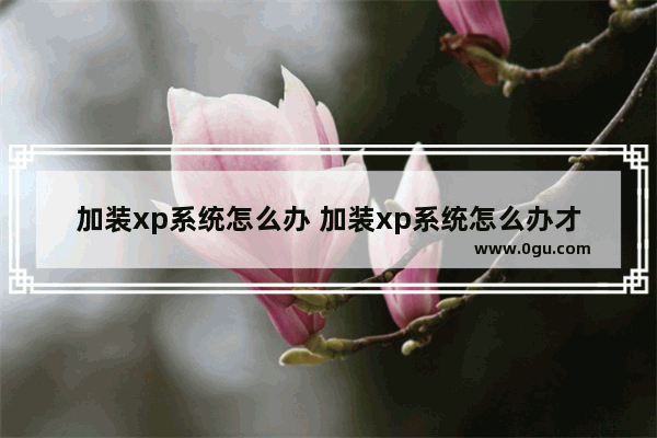 加装xp系统怎么办 加装xp系统怎么办才能启动