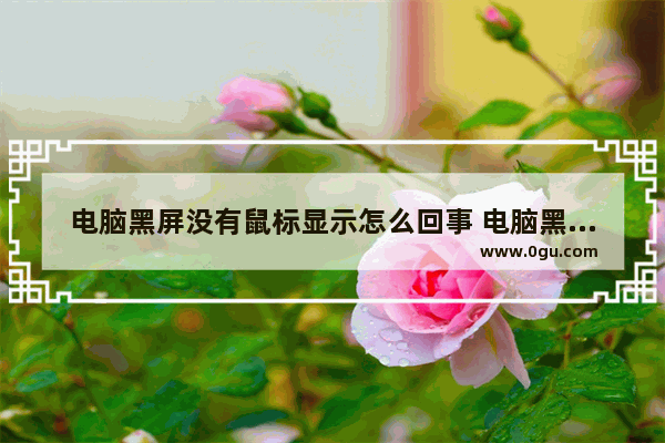电脑黑屏没有鼠标显示怎么回事 电脑黑屏了没有鼠标箭头怎么办