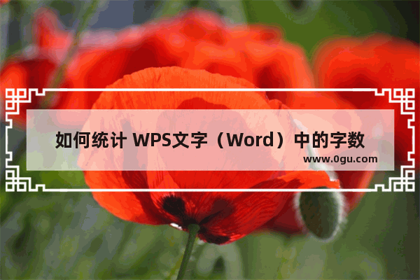 如何统计 WPS文字（Word）中的字数？