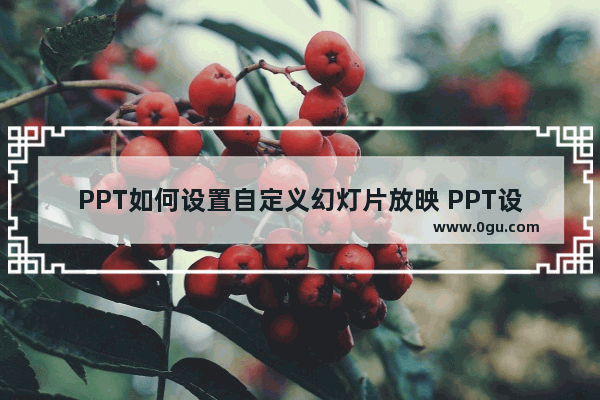 PPT如何设置自定义幻灯片放映 PPT设置自定义幻灯片放映的方法