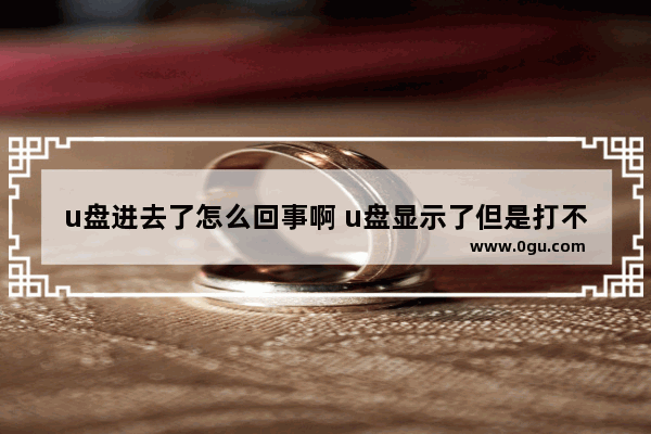 u盘进去了怎么回事啊 u盘显示了但是打不开