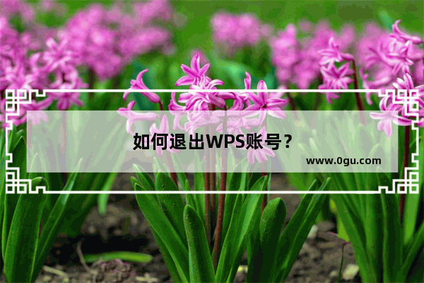 如何退出WPS账号？