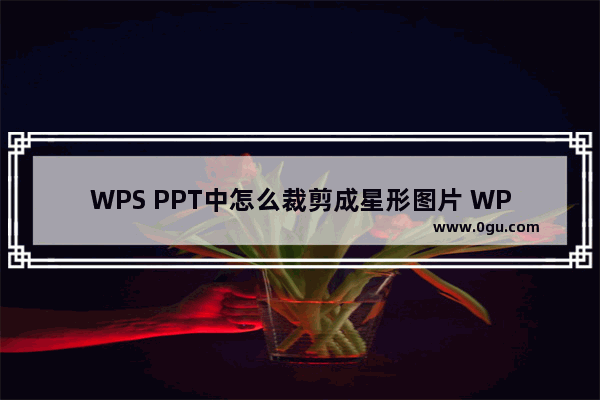 WPS PPT中怎么裁剪成星形图片 WPS PPT中裁剪成星形图片的方法